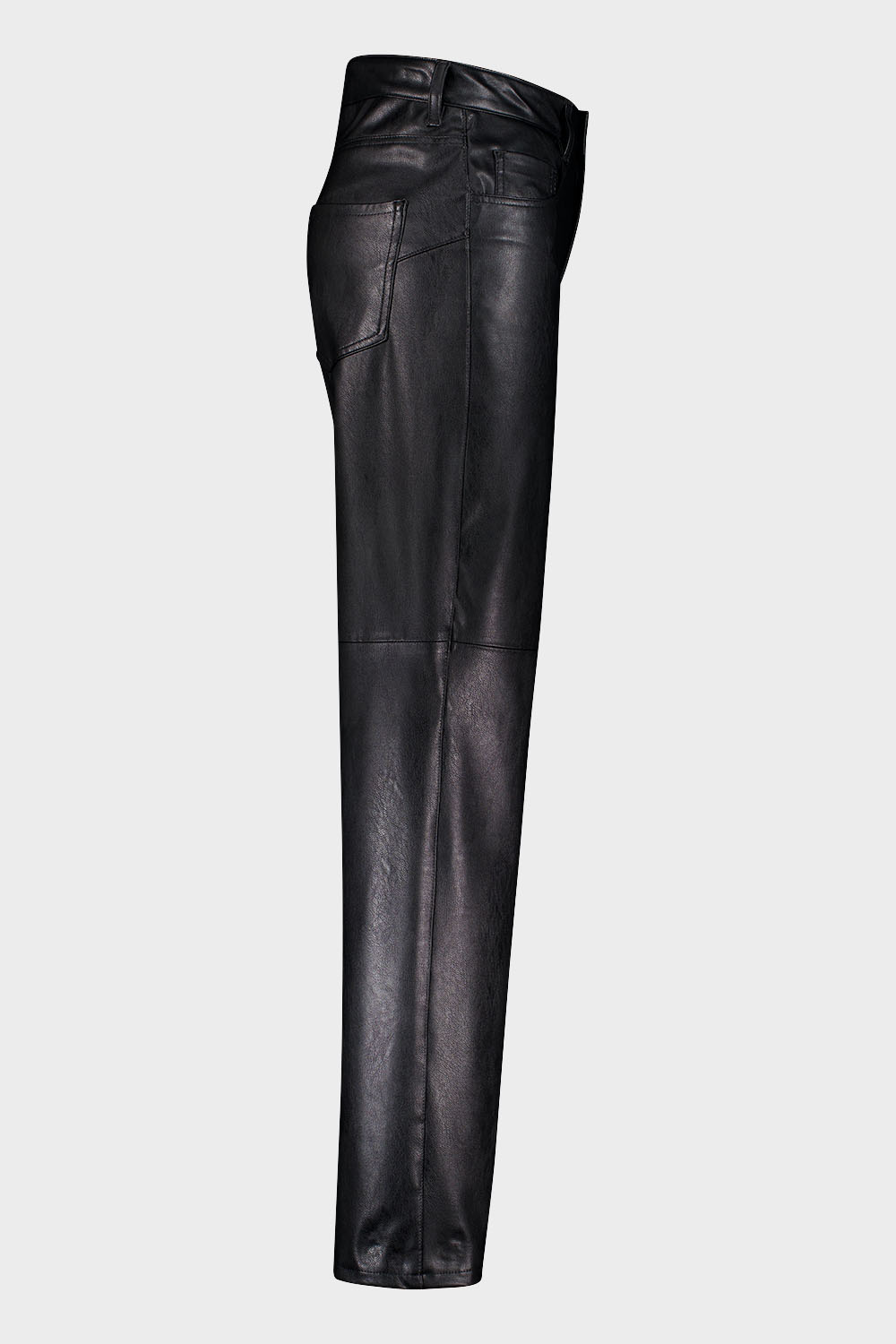 DARJA9-650081