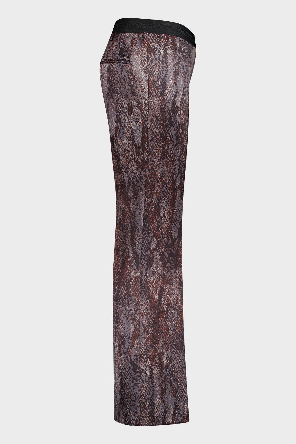ZARIA-645761