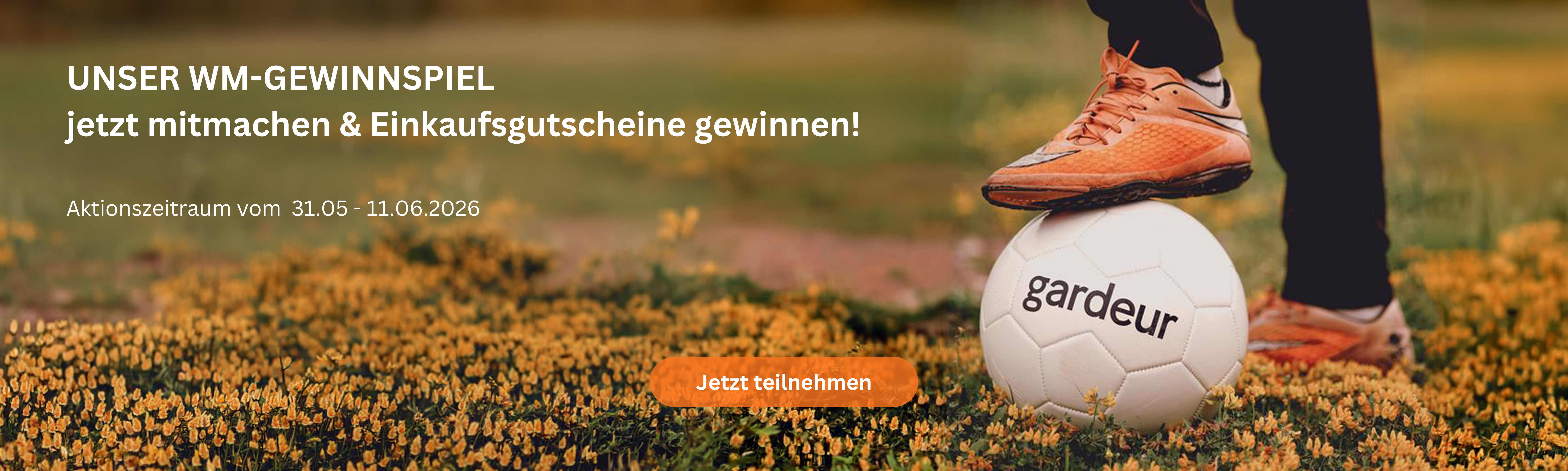 Teaser Bild