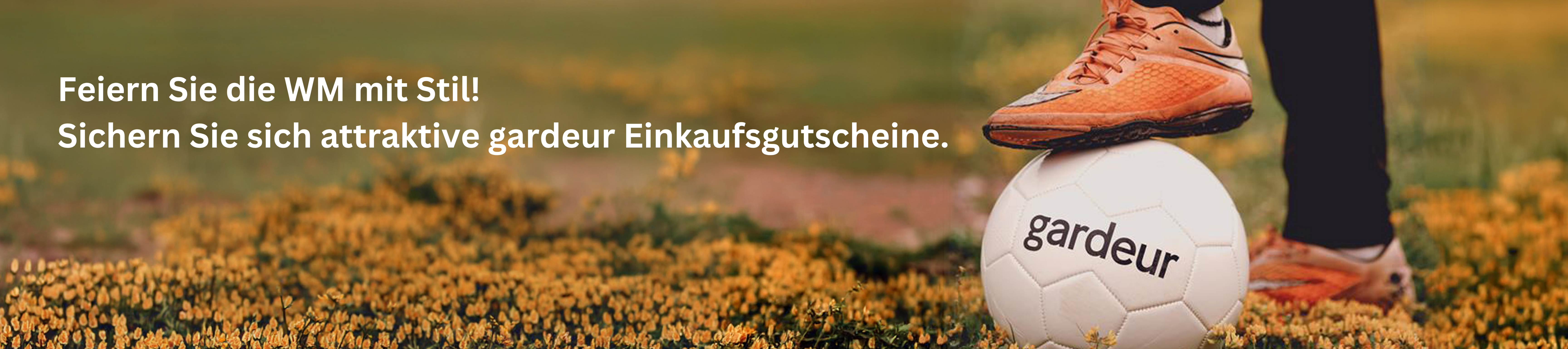 Teaser Bild