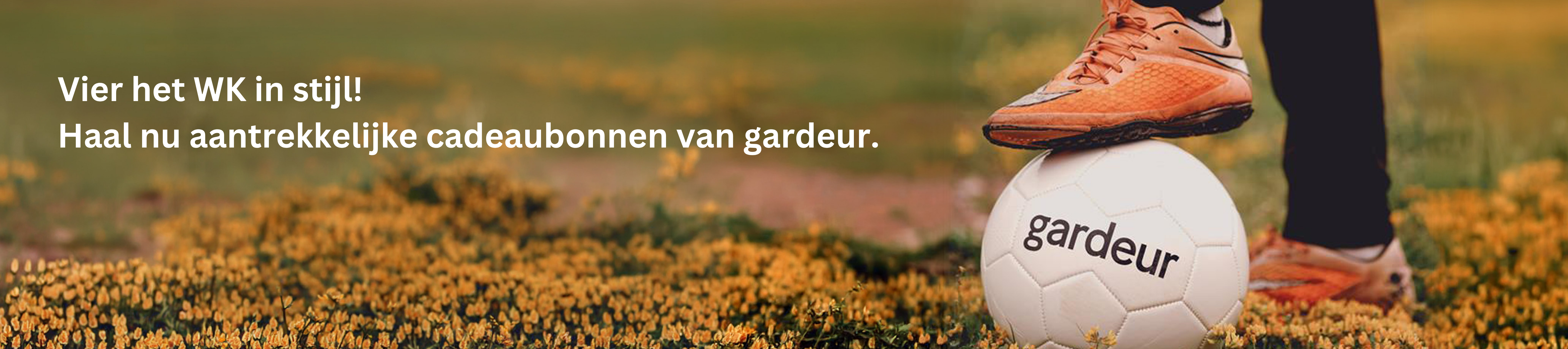 Teaser afbeelding