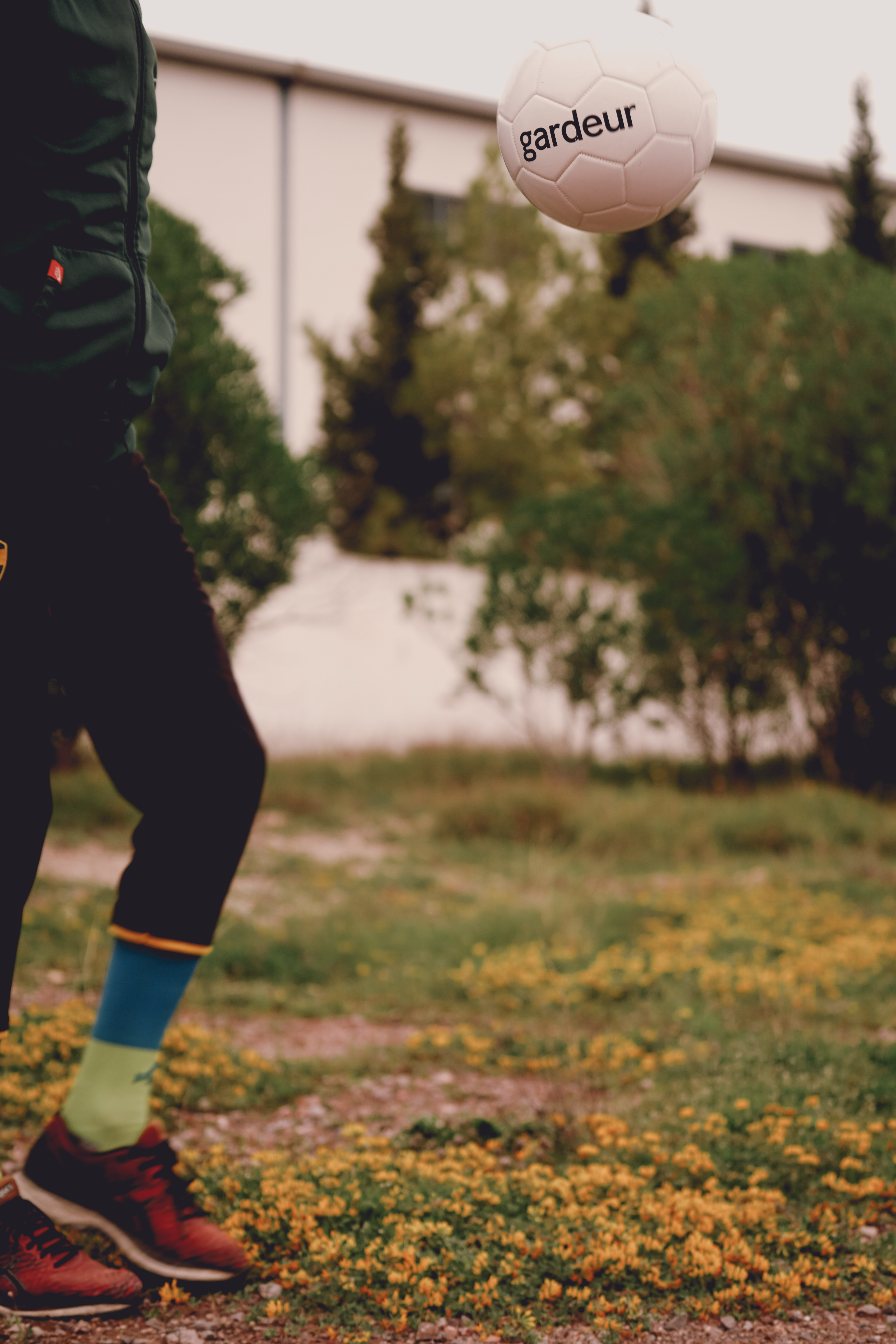 Teaser Bild